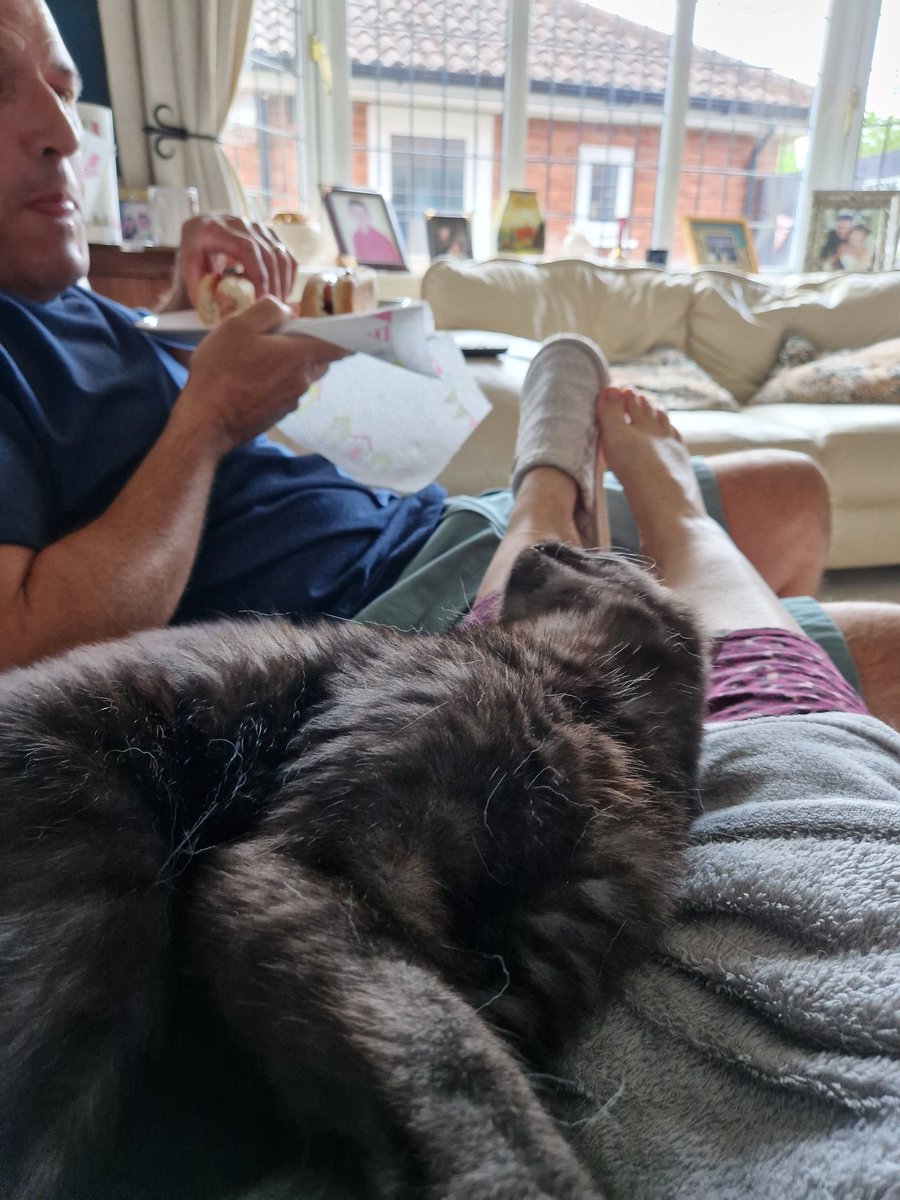 Primrose tweet media