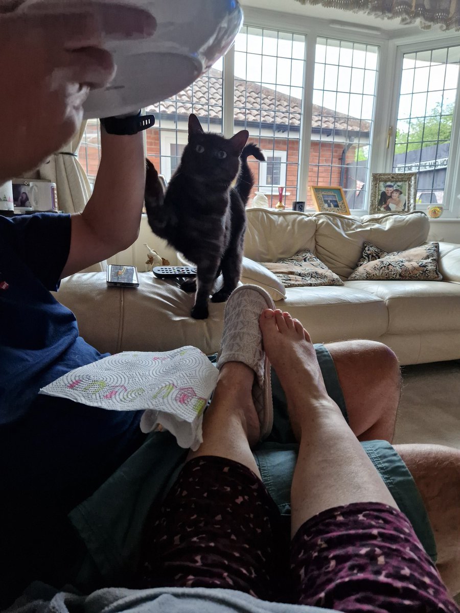 Primrose tweet media