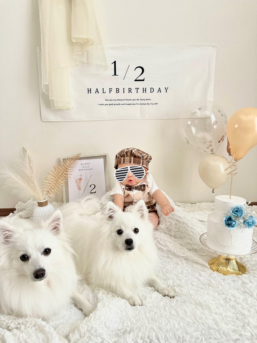 sui_spitz's tweet photo. 7月1日弟👶🏻のハーフバースデー🎂すいろんも一緒に記念撮影📸 https://t.co/UfwWrl900g