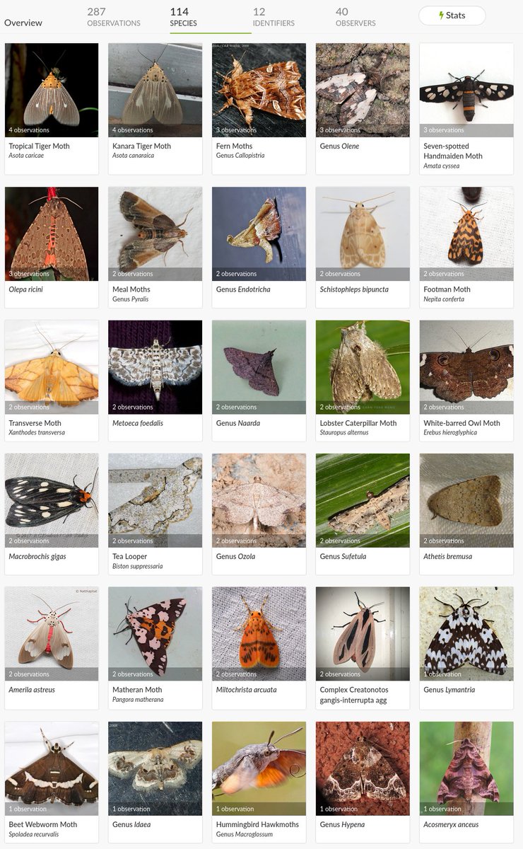 Kerala Biodiversity tweet media