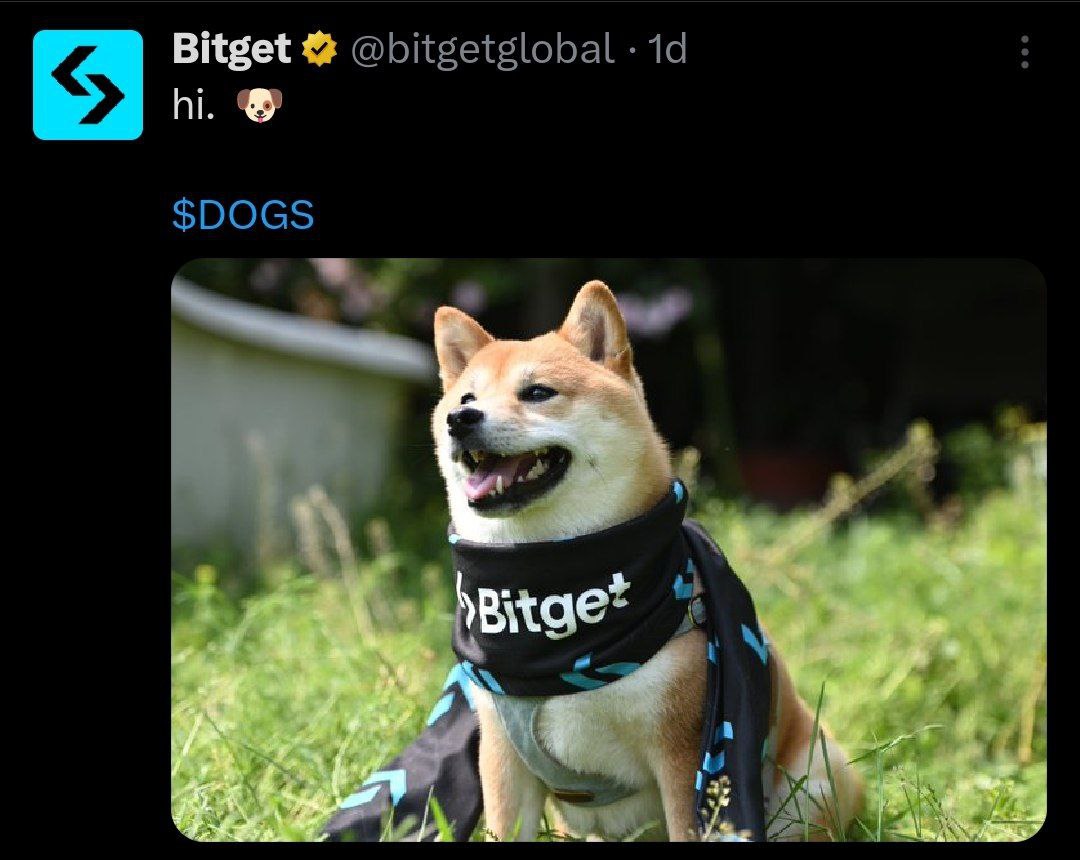 Engineercryptoo's tweet photo. Need Confirmed Airdrop?
This is the simplest FREE #AIRDROP you are getting just based on your Telegram Age.
#Bitget hinting the listing soon
Don't miss the Free Opportunity , simply click the link 👇 and start the bot and you will get your Points🤝
https://t.co/QkYyOnTBud https://t.co/9Z0dcdQW25