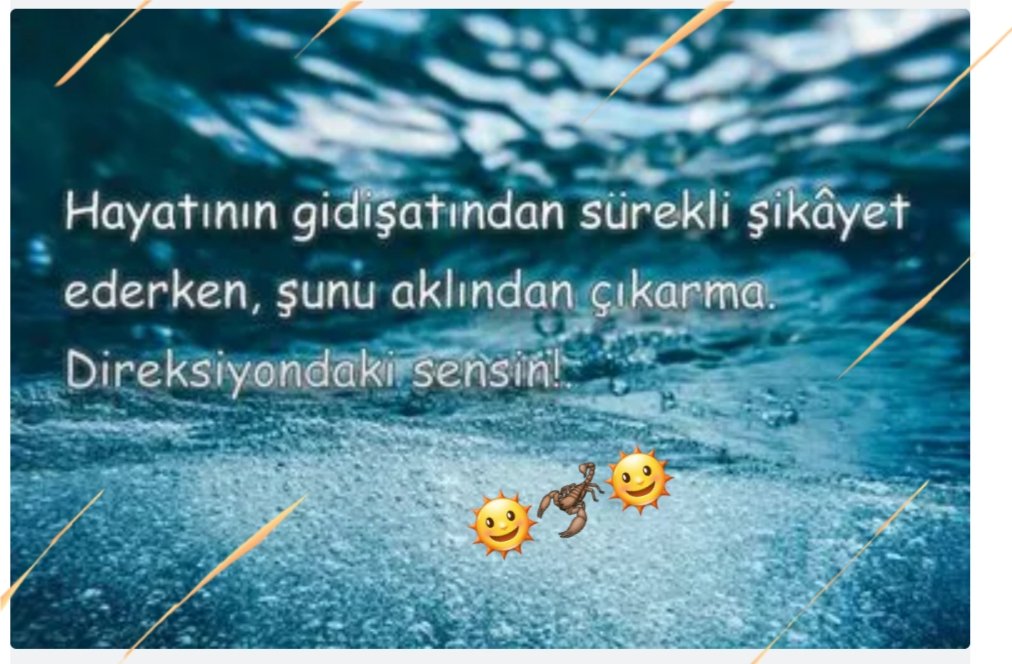 CarslanYucel's tweet photo. #GünAydin 🌞🦂🌞
#Hayatin tadını çikarabilenler⚘🥳❤ https://t.co/rbgv4d4LIB