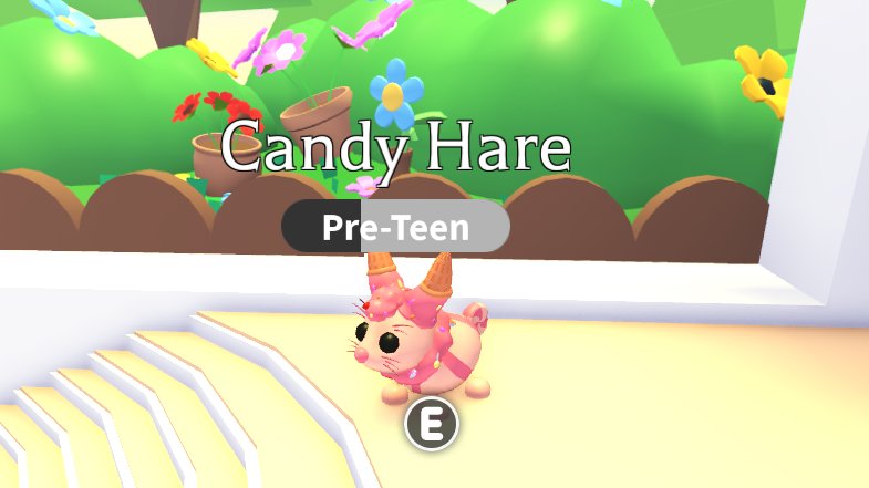2x candy hares giveaway!

2 winners!

rules:

follow me

like and retweet

ends in 2 days

kw:roblox robux rbx gw royale high adopt me mm2 rh rhd dims diamonds nfr mfr n m mega neon fly ride high tier set sets halo halos rare item items knife weapons am amp pet pets

good luck!