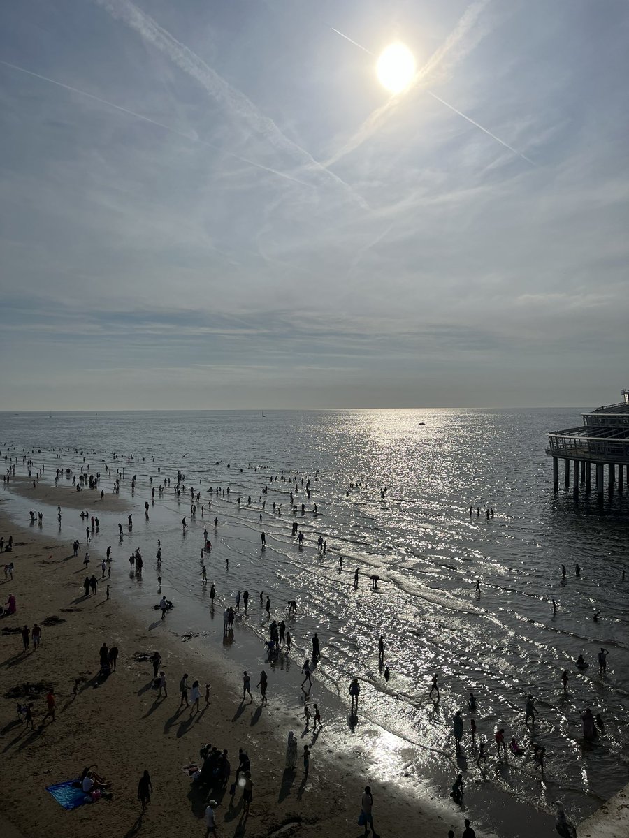 Goldylock 🪴✨ tweet media