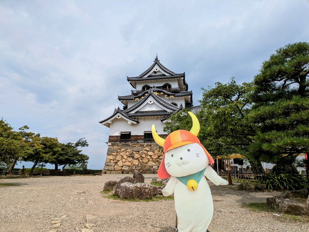 m916619m's tweet photo. がーしー https://t.co/Pbyt0CDdu1