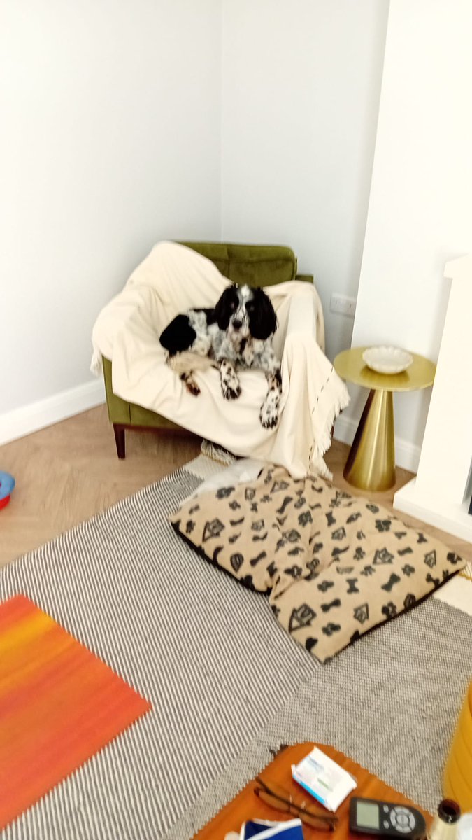 SpanielStory's tweet photo. I've had the best few days in Yorkshire this week with my bestie. #summer ollerdee https://t.co/TZd7dGXAG1