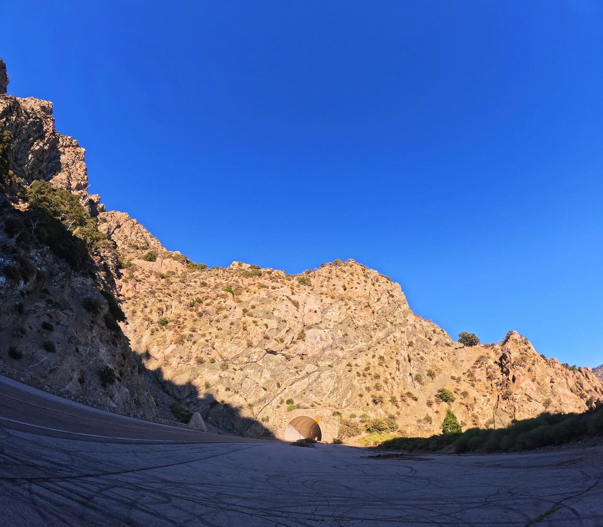ZacharyObama's tweet photo. Sometimes I really do think the Angeles Crest Highway might be the most magical thing around #LA. You’re missing out if you never leave the asphalt to venture into the woods. Stay safe and recreate!!!!

#SanGabriels #ForkFire #AngelesCrestHighway #GoProHero11Black

🔥🔍📰😎🖤📸 https://t.co/j3dtursYWo
