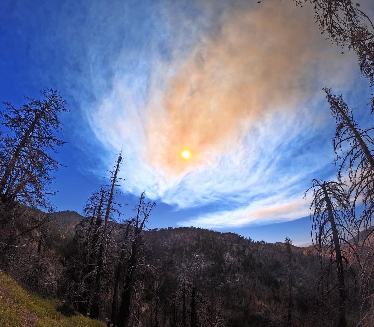 ZacharyObama's tweet photo. Sometimes I really do think the Angeles Crest Highway might be the most magical thing around #LA. You’re missing out if you never leave the asphalt to venture into the woods. Stay safe and recreate!!!!

#SanGabriels #ForkFire #AngelesCrestHighway #GoProHero11Black

🔥🔍📰😎🖤📸 https://t.co/j3dtursYWo