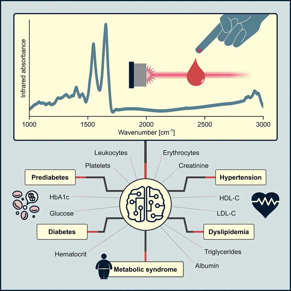 Imagine a future where a single drop of blood provides comprehensive health insights in minutes. Mihaela Žigman's team at LMU and MPQ, with Helmholtz Zentrum München, have developed a tool using infrared light and machine learning to detect multiple conditions at once. #Medicare