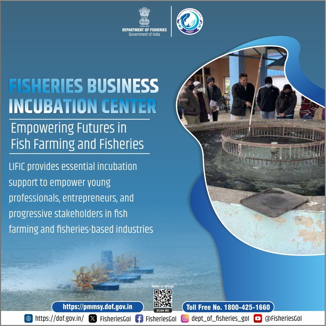 FisheriesGoI's tweet photo. "Fisheries Business Incubations Centre: Empowering sustainable growth in aquaculture and fisheries through innovation and support."#FisheriesBusiness #AquacultureInnovation #SustainableGrowth #FisheriesIncubation #AquacultureSupport #BlueEconomy #FisheryDevelopment #Aquaculture https://t.co/N61CIwxjjv