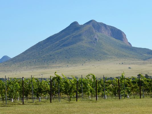 Rilancio una vecchia foto.
Quella strada per Yuma. Elgin, Arizona. Una volta c'erano gli Apache, ora le vigne