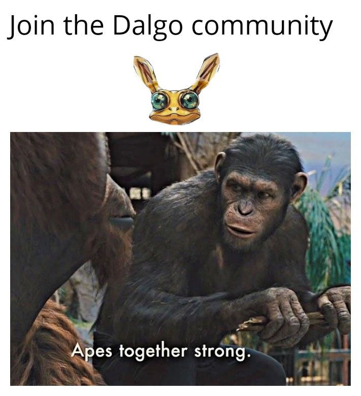 Matt8214's tweet photo. Join the $DALGO and $PGOLD community. Telegram: https://t.co/Ugk0e7l8P0 https://t.co/JDjt3Fco8J