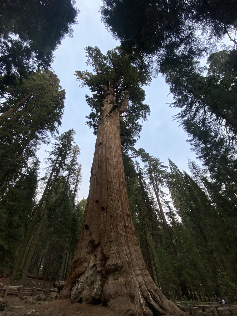 Judith Kilvington tweet media