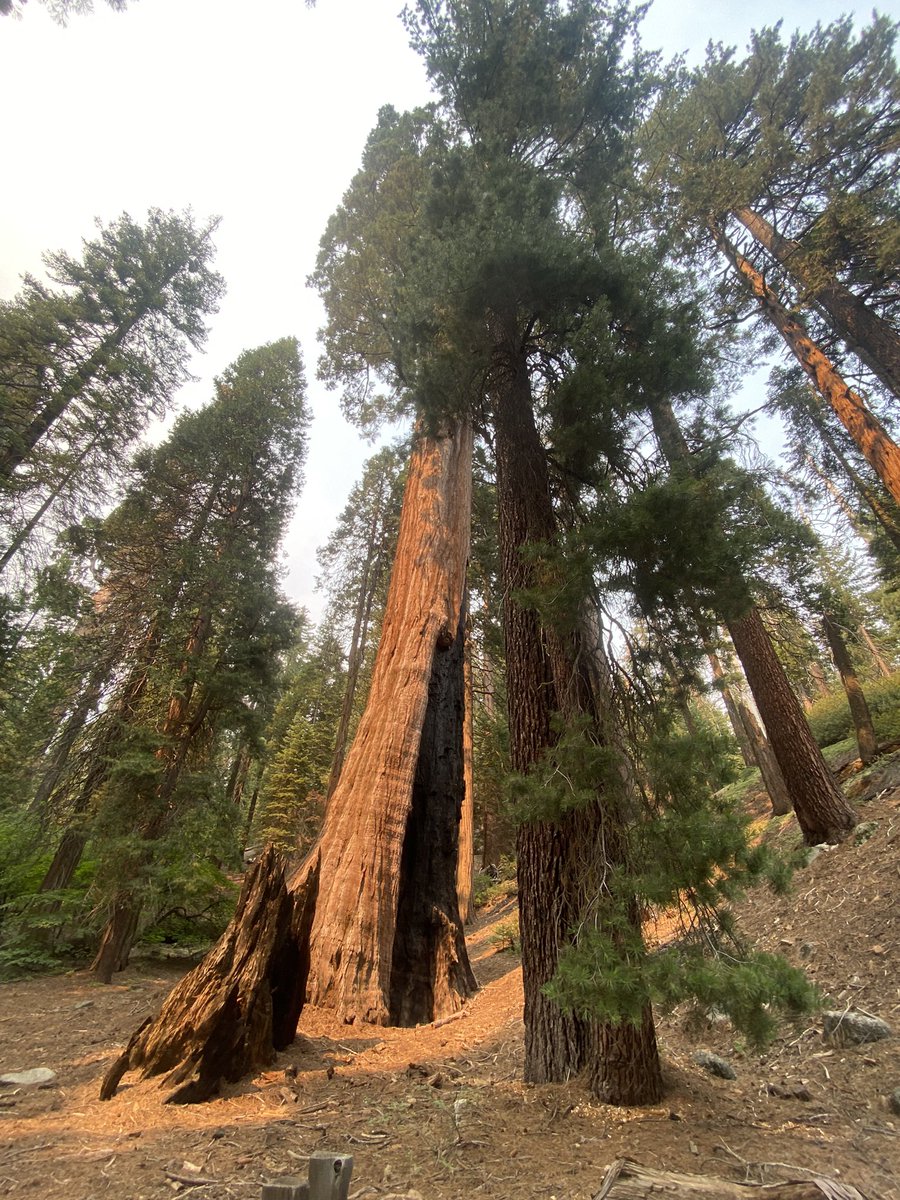 Judith Kilvington tweet media