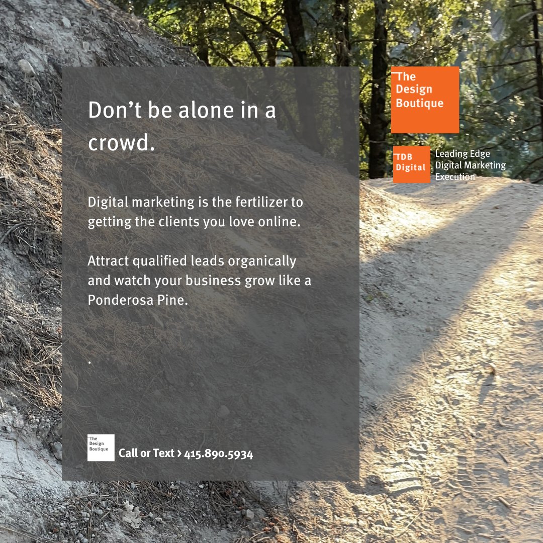DesignBoutique's tweet photo. Ready to cultivate lasting connections with your dream clients? Build a thriving digital marketing strategy, and that will start the drive.

#DigitalMarketing #OrganicGrowth #ClientAcquisition #BusinessGrowth https://t.co/L7Kf1khkTp