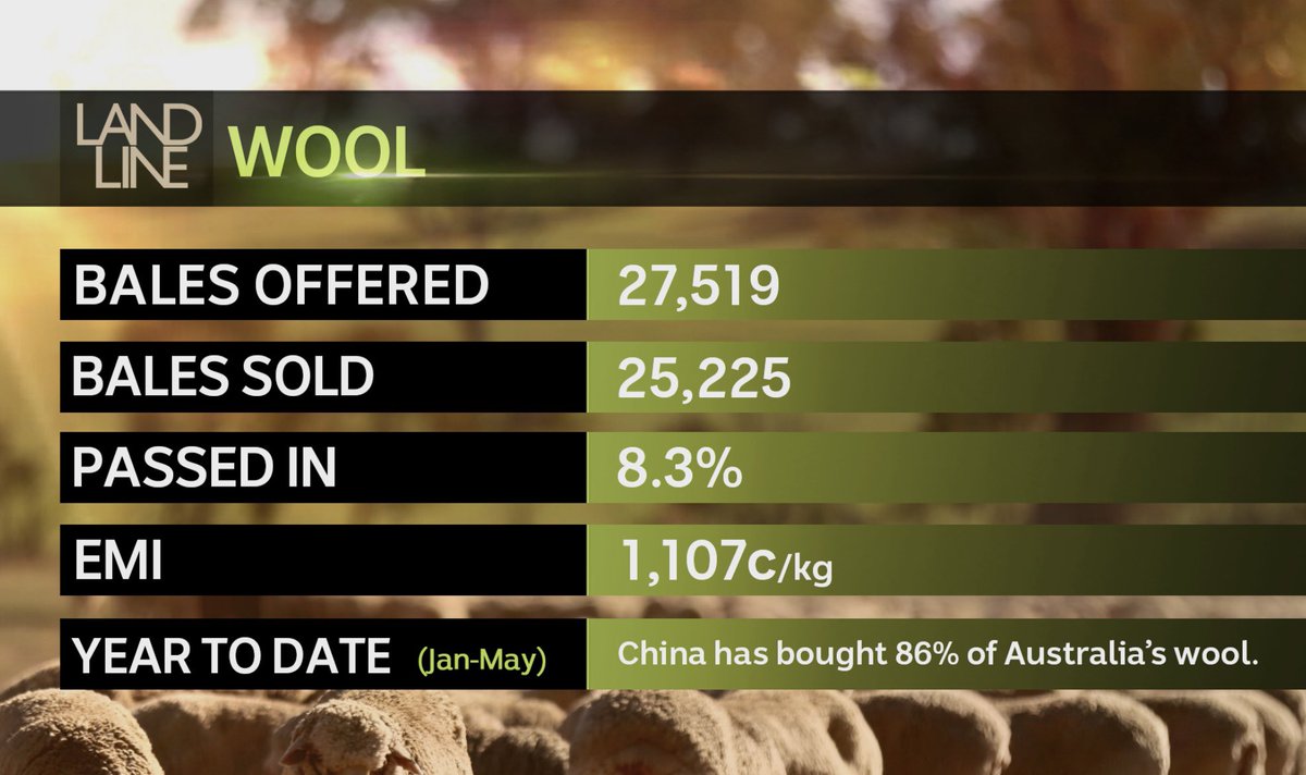 MattBrannRURAL's tweet photo. The IT outage on Friday messed with compiling ABC Landline… so no Market Report 😢
In summary though
Livestock prices UP
Wheat DOWN
Wool FLAT
#Crowdstrike #KeepItRural https://t.co/foHwbteHBA