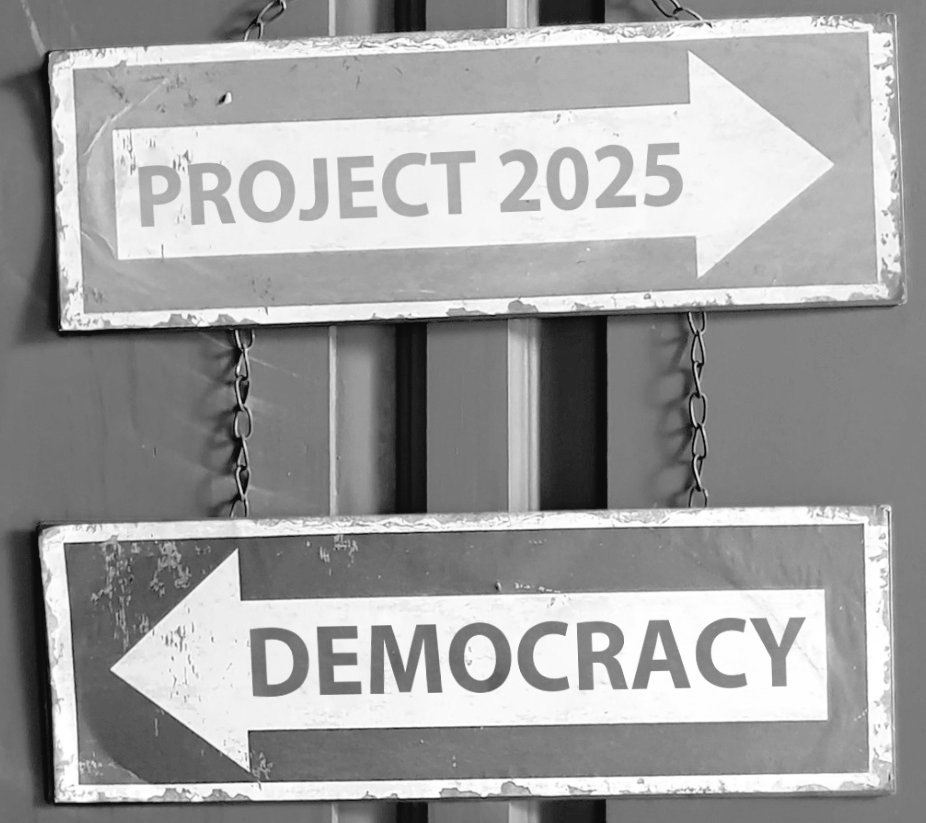 PrincessBravato's tweet image. #StopProject2025 
#GoogleProject2025 
#TrumpIsProject2025