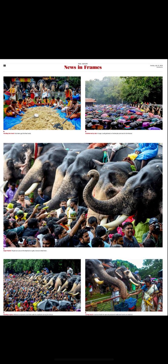 ⁦⁦⁦<a href="/the_hindu/">The Hindu</a>⁩’s  “News in Frames” showcases Aanayootu, by KK Najeeb. An annual feature at the Vadakunathan temple, these elephants are treated to a top order sadhya. Don’t miss the sea of umbrellas: that is the public participating in the feeding in pelting rain.