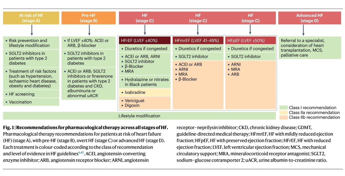 docakx's tweet photo. 🌟 HEART FAILURE - Recommendations for pharmacological therapy across all stages https://t.co/IiAKx1WhAn