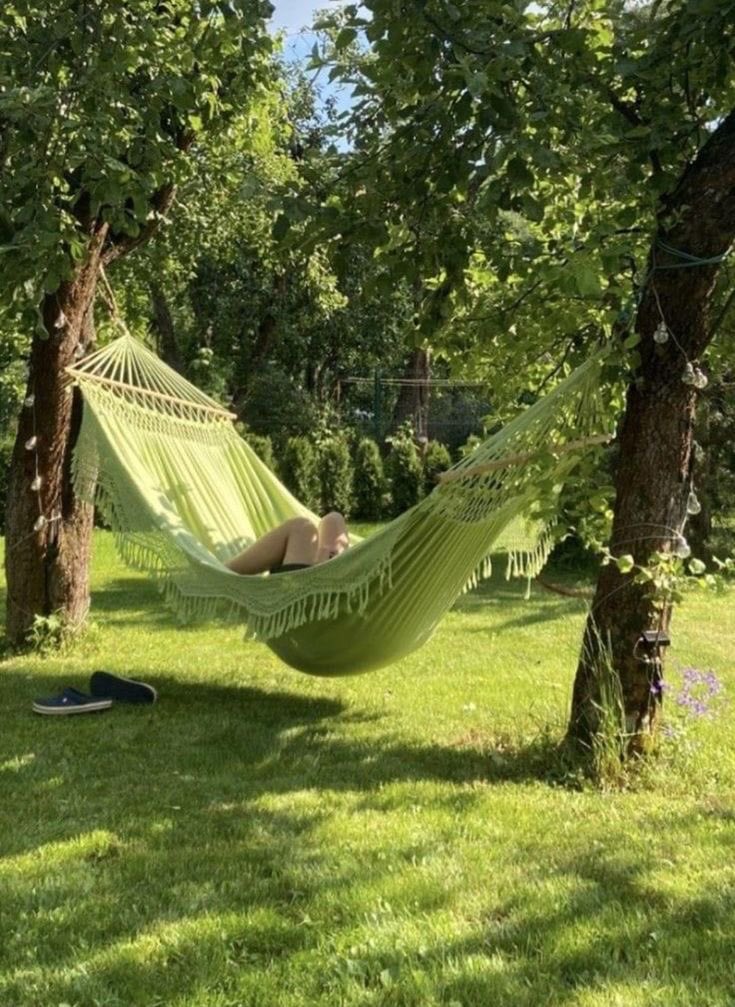 greenvibe's tweet photo. https://t.co/Ty4Tj0z6gu