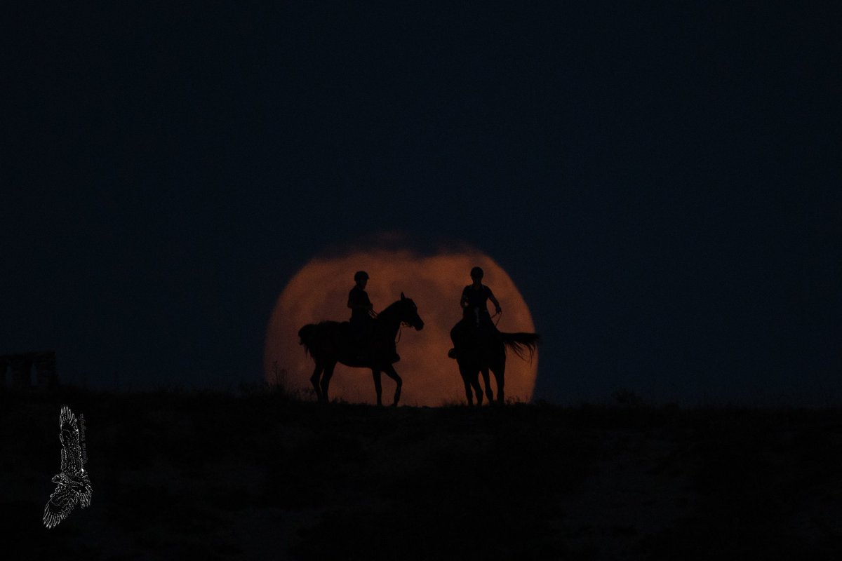 Avui disfrutant amb la lluna i cavalls. Gracies a les amazones i a la cibeles i en moka <a href="/CanonEspana/">Canon España</a> <a href="/photopills/">PhotoPills</a> <a href="/gfmanlleu/">Grup F. Manlleu</a>
