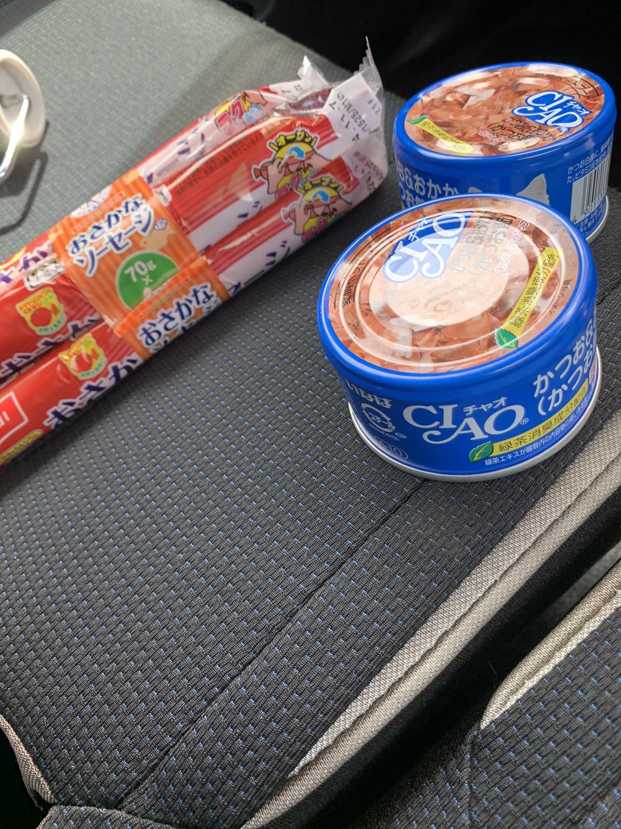 ゼファーと車を徹底的に磨いたぜ

夕飯買ったし車庫行くか。
ソーセージは僕のやから。