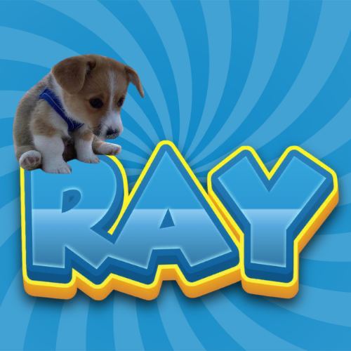$RAY tweet media