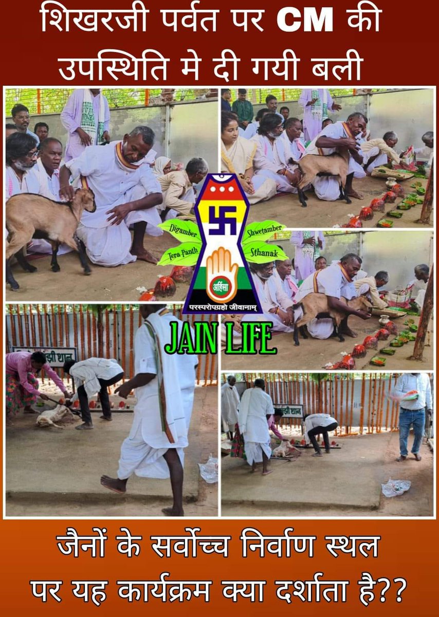 Jainik_SOS's tweet photo. On the sacred land of Shikhrji, where 20 Jain Tirthankars—preachers of non-violence attained salvation, 4 innocent animals were sacrificed in the presence of CM @HemantSorenJMM!!
This holy land forbids any killing! Why are Jain sentiments being repeatedly violated? (1/2) https://t.co/G1fhaJGZkT
