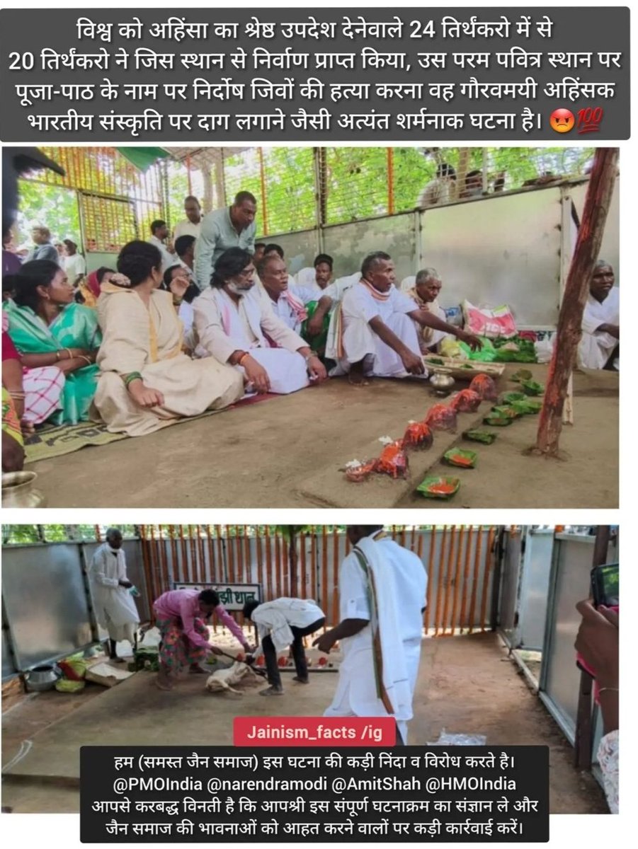 Jainik_SOS's tweet photo. On the sacred land of Shikhrji, where 20 Jain Tirthankars—preachers of non-violence attained salvation, 4 innocent animals were sacrificed in the presence of CM @HemantSorenJMM!!
This holy land forbids any killing! Why are Jain sentiments being repeatedly violated? (1/2) https://t.co/G1fhaJGZkT