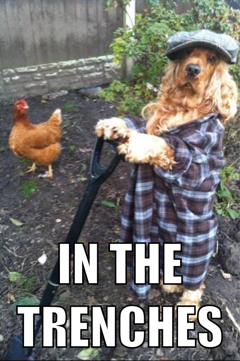 Sailoroffortune tweet media