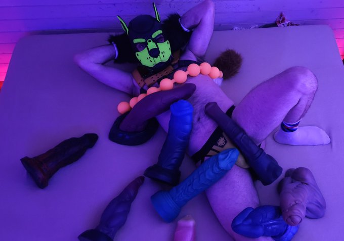 So many friends visiting me ... #baddragon #twistedbeast https://t.co/tvE4BJwnw9<a href="/tag/baddragon"class="tags">#baddragon</a><a href="/tag/twistedbeast"class="tags">#twistedbeast</a>