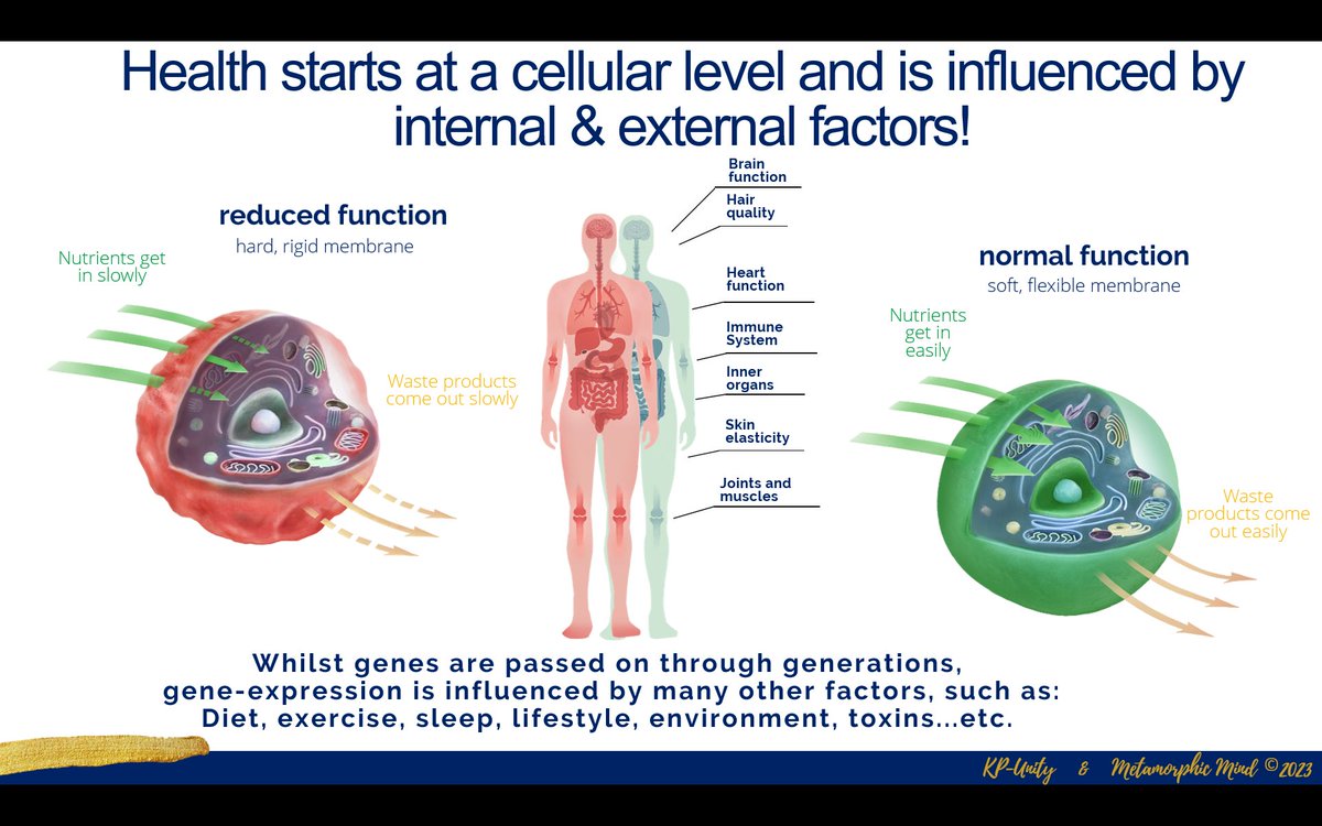MetamorphicMind's tweet photo. The Balance Test provides vital information about YOUR essential fatty acids, the Omega-3 Index, Protection Value, Cell Membrane Fluidity &amp; Mental Strength.  

Don´t miss this opportunity to getting back into balance. 
#mentalhealth #nutrition #ketodiet 

https://t.co/LyeQ4LYh5B https://t.co/TPMmCkyVAG