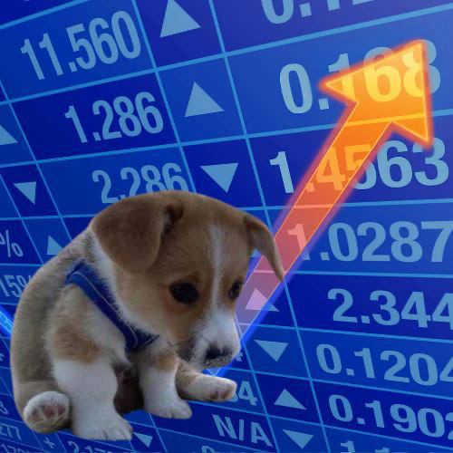 $RAY tweet media
