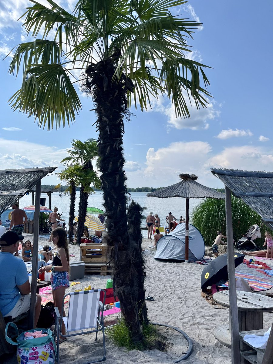 Kirsi_HoSt's tweet photo. feels like summer 😎👙🌴☀️🥰 #urlaubsfeeling  #4seen #oberpfälzerseenland #murnersee #placetobe https://t.co/GEUWnVolBT