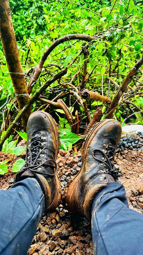 skeshwar_'s tweet photo. Waiting for the Oriental Dwarf Kingfisher #odkf #karnala https://t.co/6Ne4OJBBic