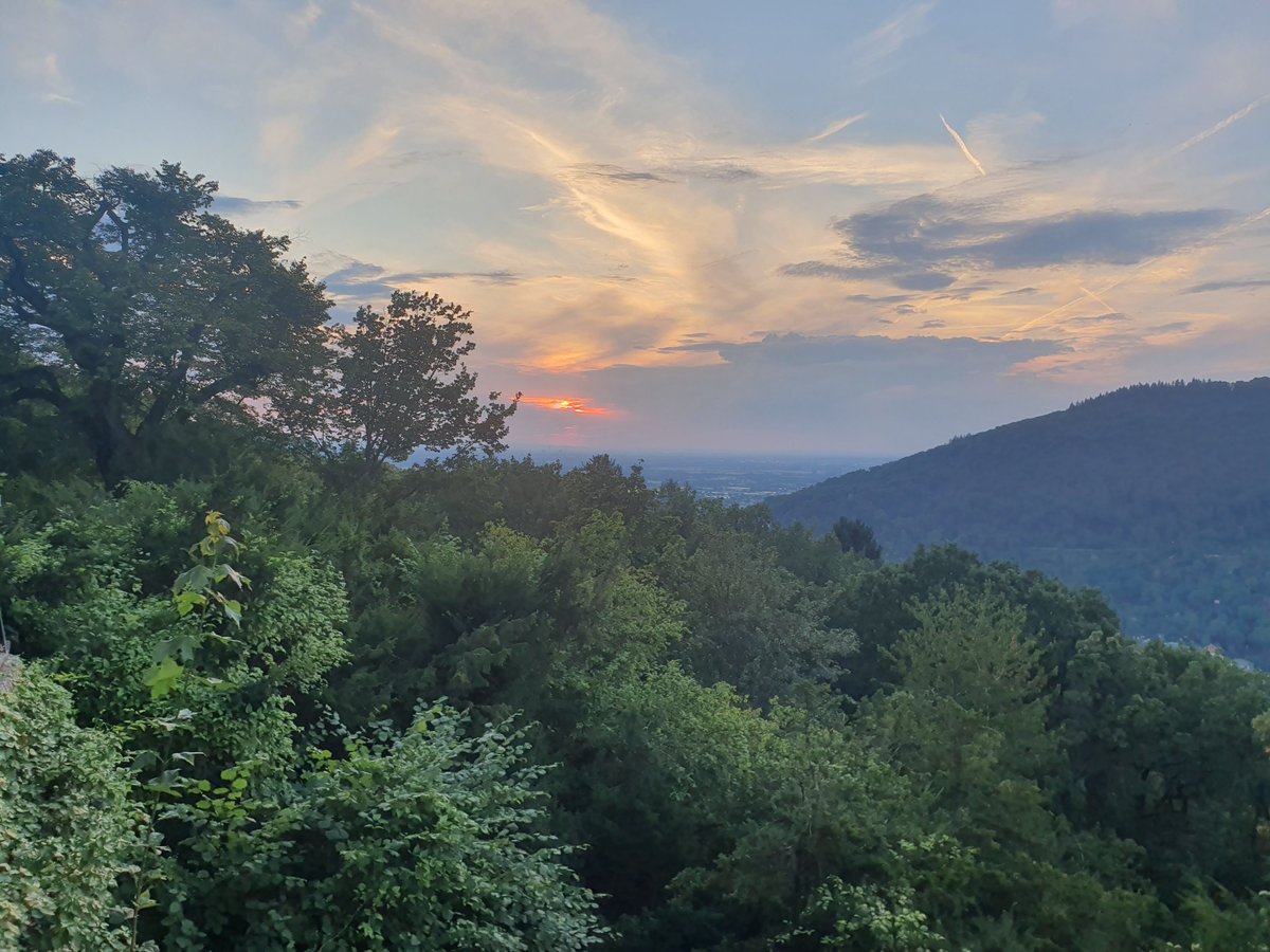 Rebecca JS Snell tweet media