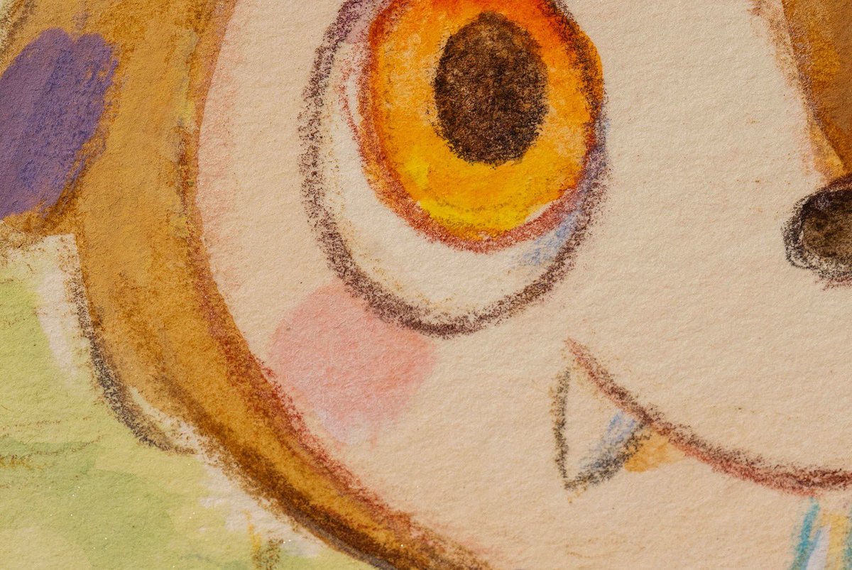 GalleryJoYana's tweet photo. ILLO | discover five original artworks by the illustrator SOWSOW @sowsowkoubou
#illo #sowsow #sowsowkoubou #tcgart #tcgartwork #tcgartist #illustration https://t.co/xuGftRBIYs