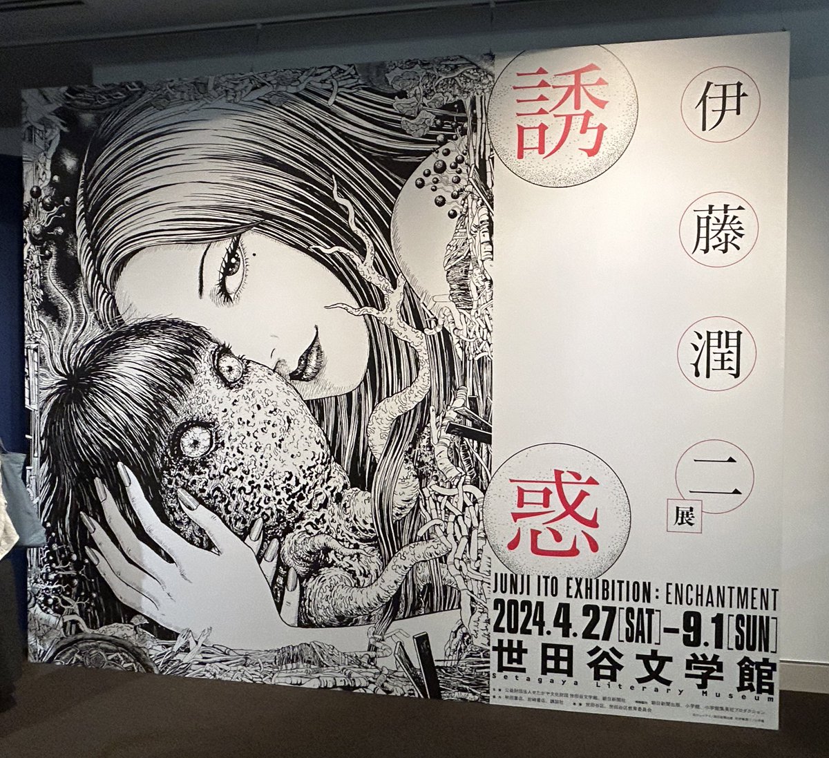見てきた!めちゃくちゃ良かった!! 