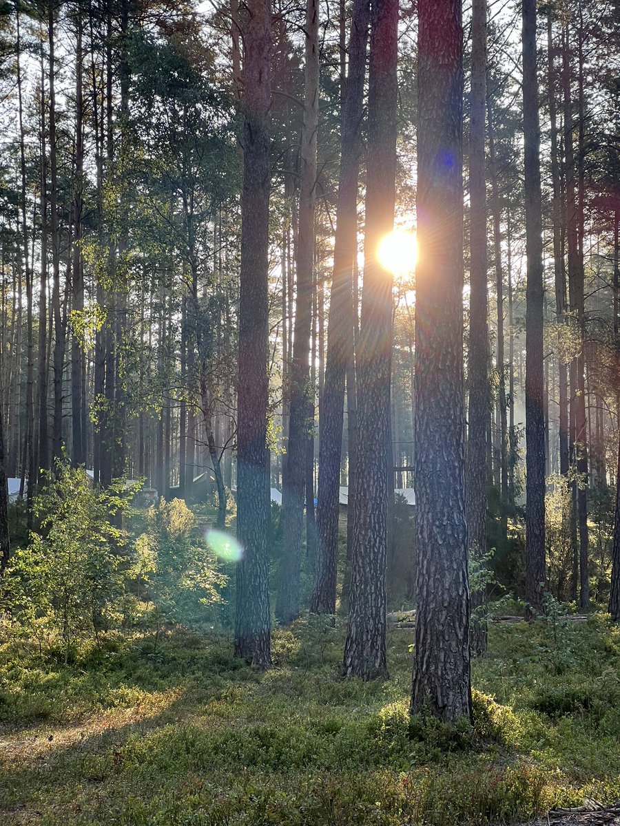 ArkadyRzegocki's tweet image. Dobrej niedzieli! Have a nice Sunday! #kaszuby #FioletowaTrojka #poland