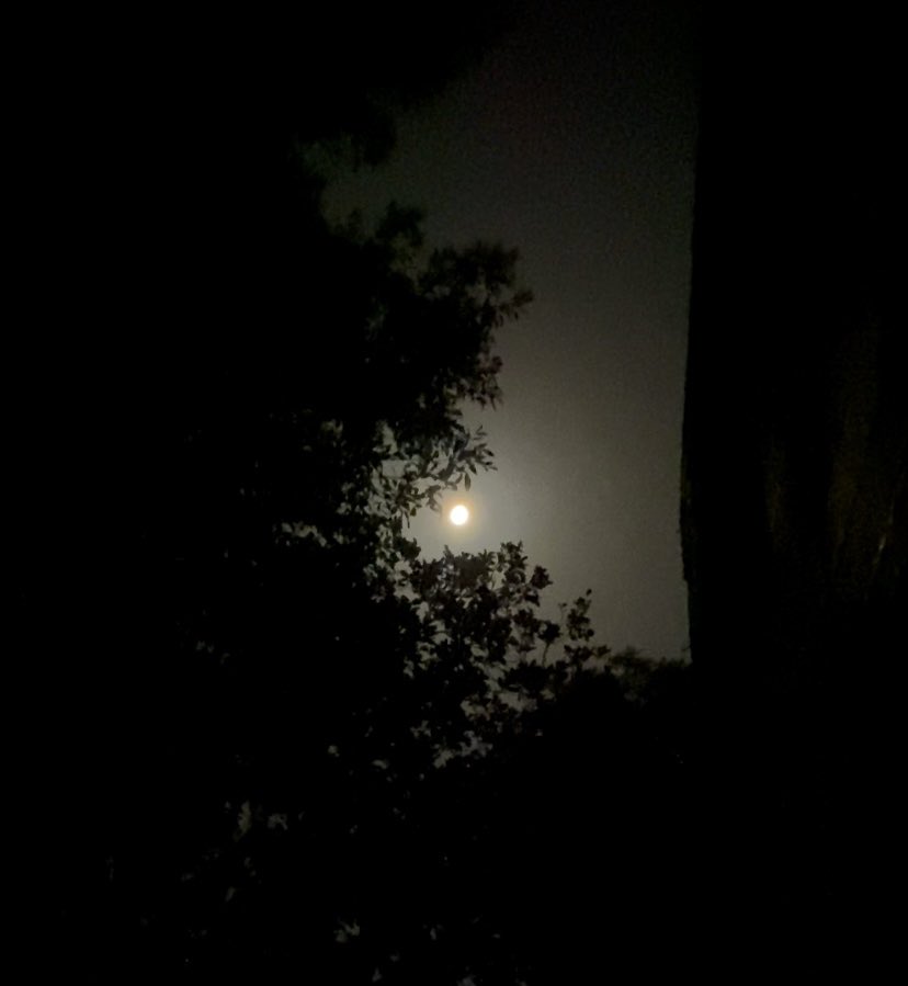 conchis_68's tweet photo. Súper luna, que belleza! 🌕🌙💫 a soñar #Quedescansen 😴 https://t.co/NRtPKXw8oC