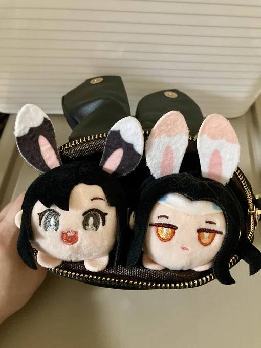 くろウサギの肩掛けかわいい。もちは耳畳めばギリいけるかもってくらいの大きさ