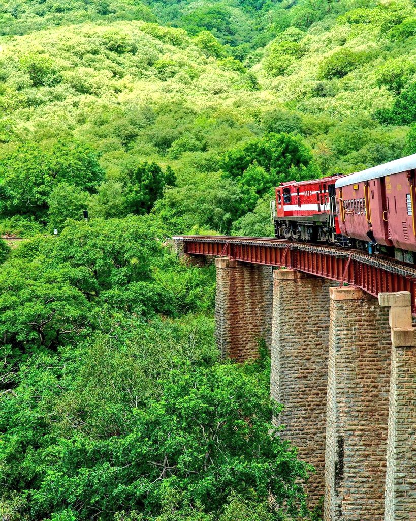 Today's #railway #photo - the beauty of the greenery in the railway landscape in the Aravallis in full display as a train crossed a viaduct near Goram Ghat station in the jurisdiction of <a href="/DrmAjmer/">DRM AJMER</a> in <a href="/NWRailways/">North Western Railway</a>! Pic courtesy, Mohammed Ali! #IndianRailways #photography <a href="/baxirahul/">Dr. Rahul Baxi</a>