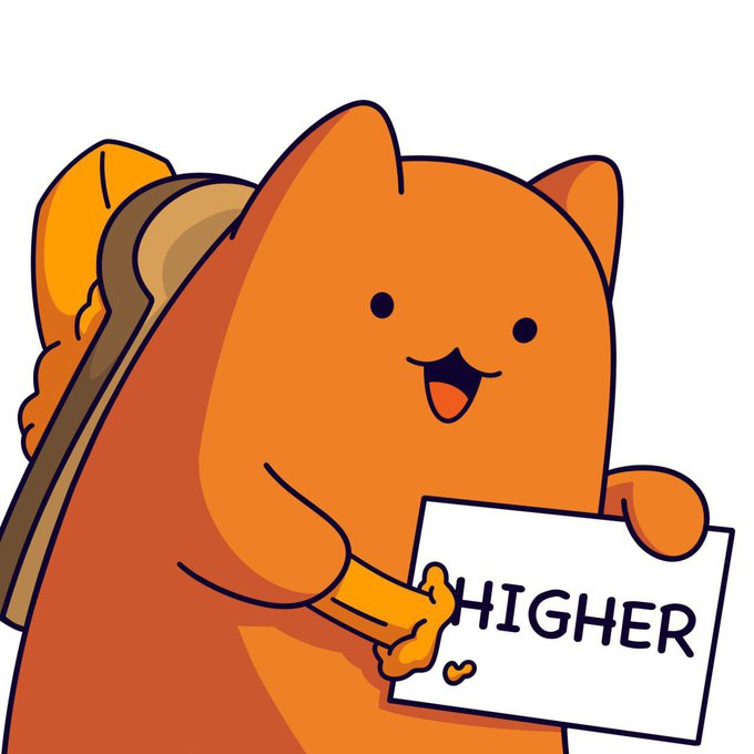 itsButterCat's tweet photo. The cat stays buttered.   

$BUTT https://t.co/87zpoIcocO