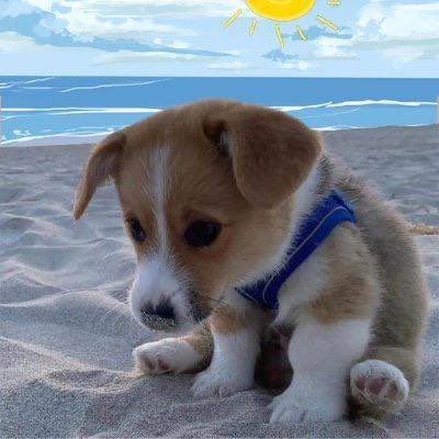 PattyIce tweet media