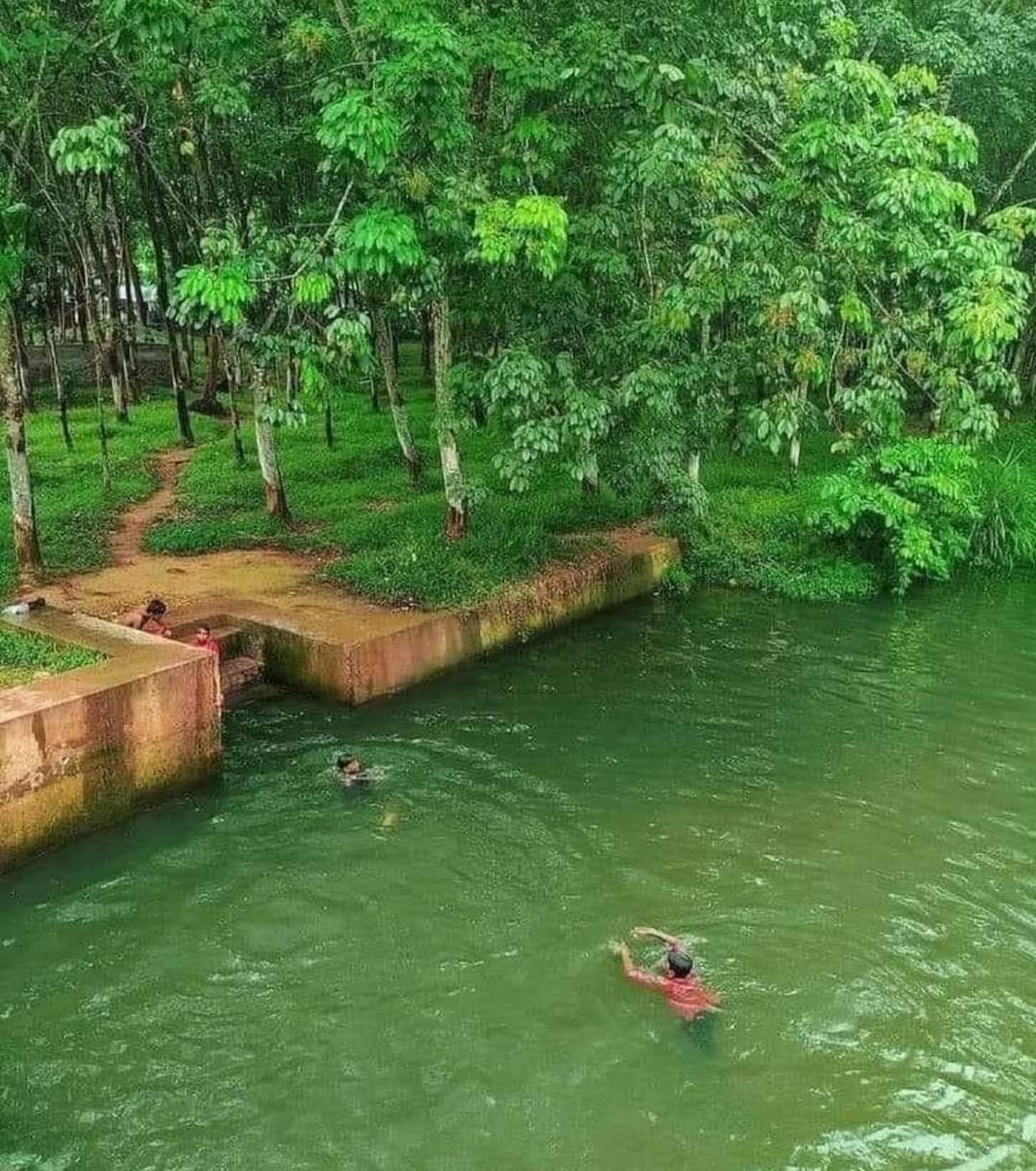 Village life, Kerala 🇮🇳