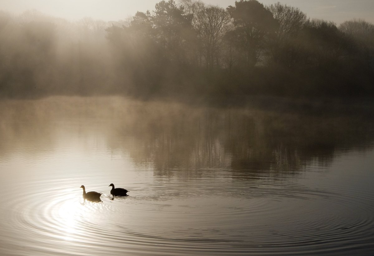 Marriedwithgrownups tweet media