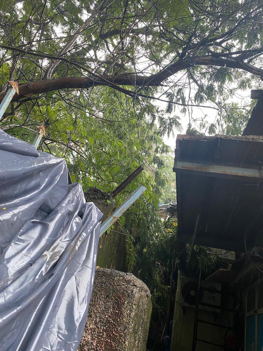 ShoebMustafa's tweet photo. Tree have fallen due to heavy rain at a couple of house in my locality.. @mybmcWardPN plz help @DakshaPatel36 #MumbaiRains 
Location : Burhani Marg, Near COD military gate, Bandongri https://t.co/7BQ9LVK2fX