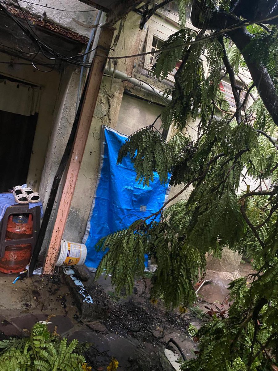 ShoebMustafa's tweet photo. Tree have fallen due to heavy rain at a couple of house in my locality.. @mybmcWardPN plz help @DakshaPatel36 #MumbaiRains 
Location : Burhani Marg, Near COD military gate, Bandongri https://t.co/7BQ9LVK2fX
