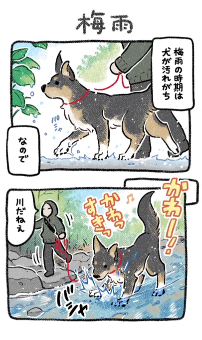 🐕‍🦺解せぬ
😑解して
#漫画が読めるハッシュタグ #梅雨明けた気がする 