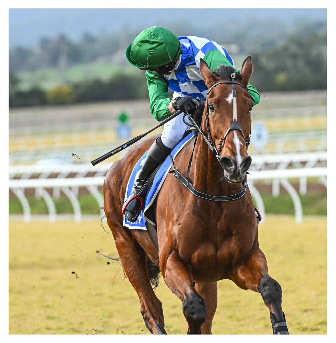 Vince Caligiuri tweet media